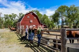 MONTANA - Circle Bar Guest Ranch