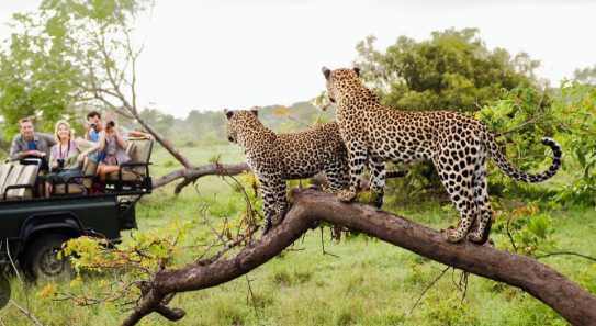 Il meraviglioso Sudafrica