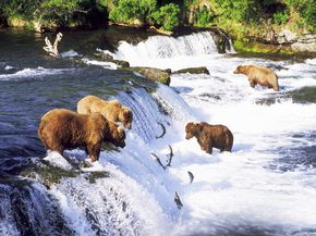 Parchi nazionali dell'Alaska
